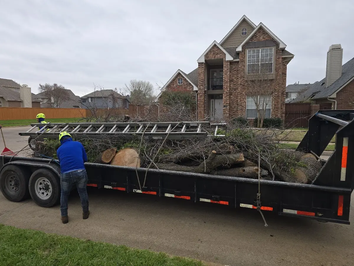 Expert Tree Fertilization with proper safety equipment in Prairie City